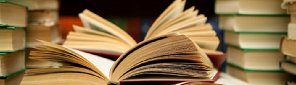 Alvaro Iriarte libros